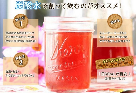 �R���u�`���N�����Y KOMBUCHA CLEANSE�̔��T�C�g��